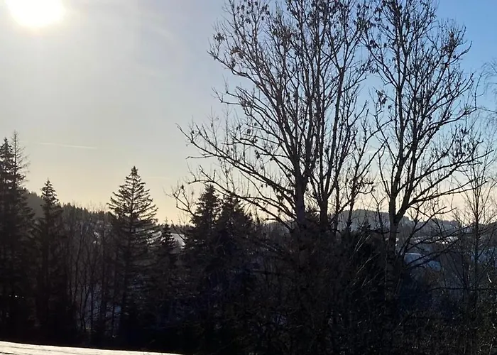 Bergchalet Mit Pool Und Sauna Apartment *