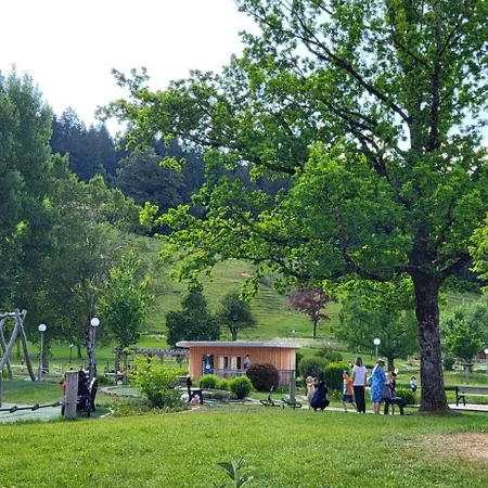 Bergchalet Mit Pool Und Sauna Apartment